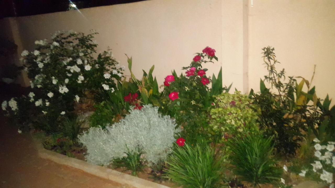Tintech Bed & Breakfast Francistown Exterior foto